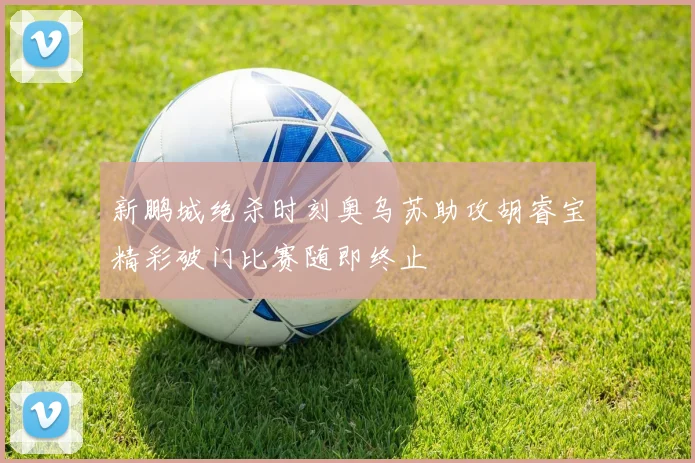 新鹏城绝杀时刻奥乌苏助攻胡睿宝精彩破门比赛随即终止