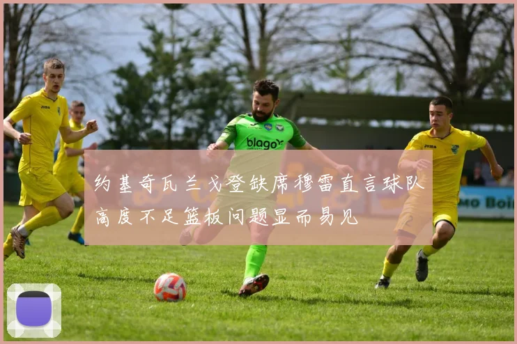约基奇瓦兰戈登缺席穆雷直言球队高度不足篮板问题显而易见